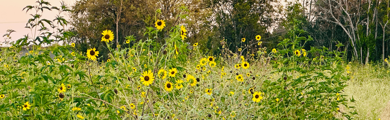 August Fields Residential Community, Inc. community